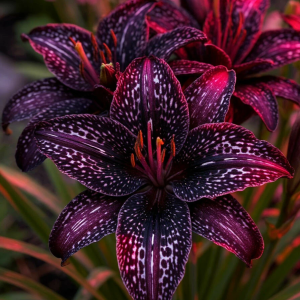 Лилейник Вояж купить по цене от 699р. в интернет-магазине «Посадика» с доставкой почтой в в Николаевск-на-Амурее и по всей России – [изображение №1].